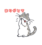 ちらかるねこちゃんまとめ（個別スタンプ：17）
