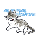 ちらかるねこちゃんまとめ（個別スタンプ：19）