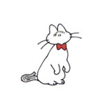 ちらかるねこちゃんまとめ（個別スタンプ：34）
