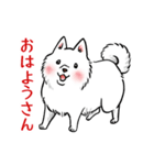 白犬たち3（ふわふわ関西弁どす）（個別スタンプ：1）