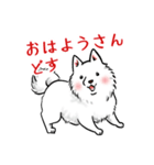 白犬たち3（ふわふわ関西弁どす）（個別スタンプ：2）