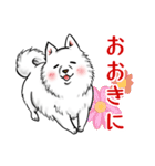 白犬たち3（ふわふわ関西弁どす）（個別スタンプ：5）