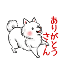 白犬たち3（ふわふわ関西弁どす）（個別スタンプ：7）