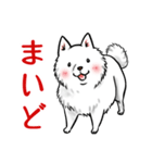 白犬たち3（ふわふわ関西弁どす）（個別スタンプ：8）