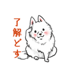 白犬たち3（ふわふわ関西弁どす）（個別スタンプ：9）