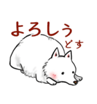 白犬たち3（ふわふわ関西弁どす）（個別スタンプ：11）