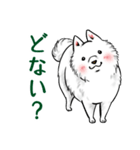 白犬たち3（ふわふわ関西弁どす）（個別スタンプ：13）