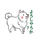 白犬たち3（ふわふわ関西弁どす）（個別スタンプ：16）