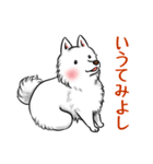 白犬たち3（ふわふわ関西弁どす）（個別スタンプ：30）