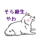 白犬たち3（ふわふわ関西弁どす）（個別スタンプ：34）