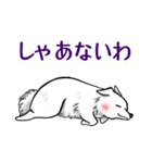 白犬たち3（ふわふわ関西弁どす）（個別スタンプ：36）