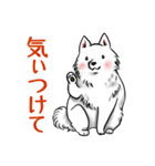 白犬たち3（ふわふわ関西弁どす）（個別スタンプ：37）