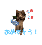 ikurama(ダリ)（個別スタンプ：5）
