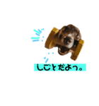ikurama(ダリ)（個別スタンプ：7）