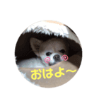 レンレンスタンプ②（個別スタンプ：6）