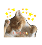 あめちゃん日常スタンプ2（個別スタンプ：3）