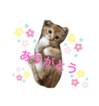 あめちゃん日常スタンプ2（個別スタンプ：7）