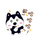 ハスキー少し毎日（個別スタンプ：8）