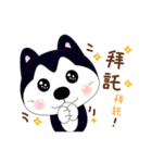 ハスキー少し毎日（個別スタンプ：9）