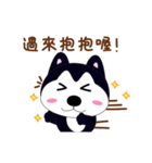 ハスキー少し毎日（個別スタンプ：13）