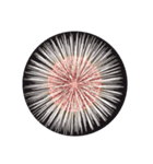 firework（個別スタンプ：1）