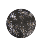 firework（個別スタンプ：4）