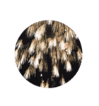 firework（個別スタンプ：6）