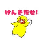 おしゃべりひよこの基本スタンプ40（個別スタンプ：24）