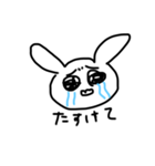 認知おしまいうさぎ（個別スタンプ：13）