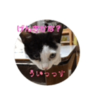 私はみいこ おもいのままに（個別スタンプ：1）