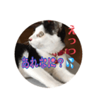 私はみいこ おもいのままに（個別スタンプ：4）