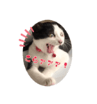 私はみいこ おもいのままに（個別スタンプ：6）