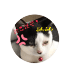 私はみいこ おもいのままに（個別スタンプ：7）