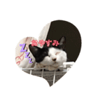 私はみいこ おもいのままに（個別スタンプ：8）