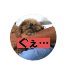 mocoの1日 その6（個別スタンプ：3）