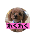 mocoの1日 その6（個別スタンプ：4）