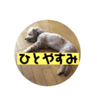mocoの1日 その6（個別スタンプ：5）