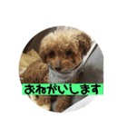 mocoの1日 その6（個別スタンプ：7）