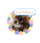 うちのだいち（個別スタンプ：1）