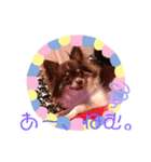 うちのだいち（個別スタンプ：3）
