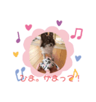 うちのだいち（個別スタンプ：7）