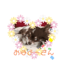 うちのだいち（個別スタンプ：8）