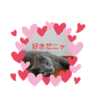 猫好きからの猫好きのための猫スタンプ（個別スタンプ：7）