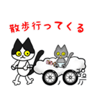 黒猫(ネロ6)（個別スタンプ：1）