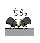 みんなのパピチワ（個別スタンプ：10）