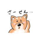 スクール オブ ドッグ（個別スタンプ：11）