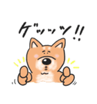 スクール オブ ドッグ（個別スタンプ：31）