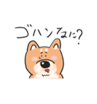 スクール オブ ドッグ（個別スタンプ：37）
