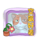 KITTEN MUMU II（個別スタンプ：19）