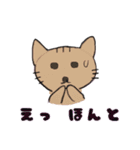 にゃんだネコ（個別スタンプ：5）